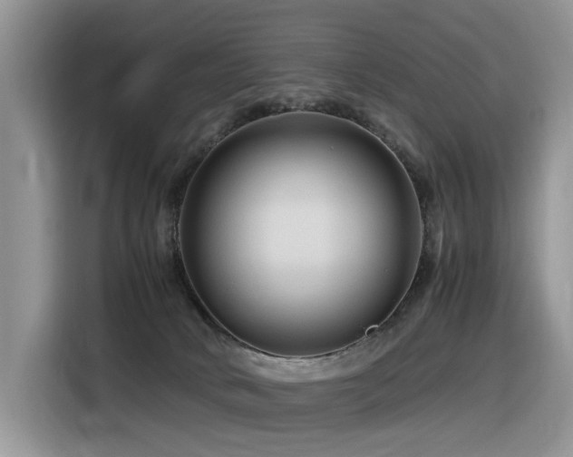 X0000116370034200912021202