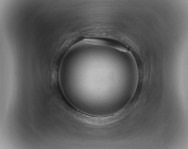 X0000116370035200912021202