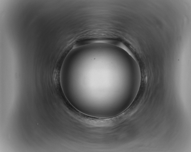 X0000116370036200912021202