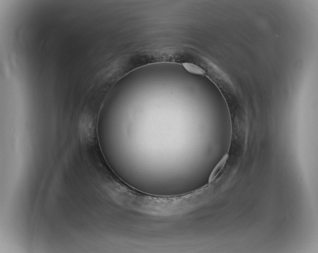 X0000116370037200912021202