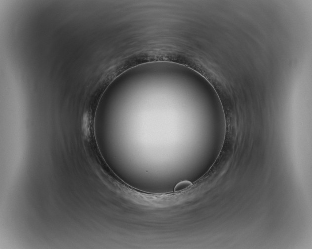 X0000116370038200912021202