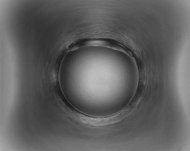 X0000116370039200912021202