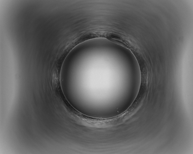 X0000116370040200912021202