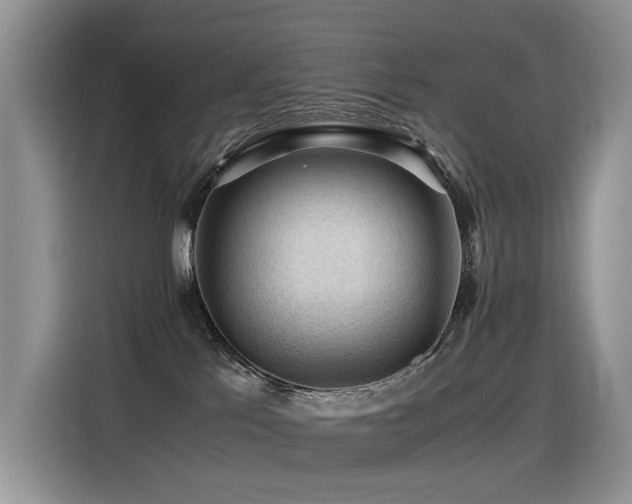 X0000116370041200912021202