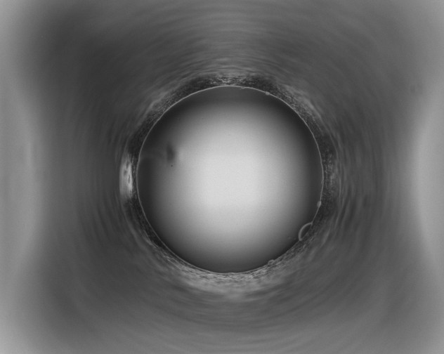 X0000116370042200912021202