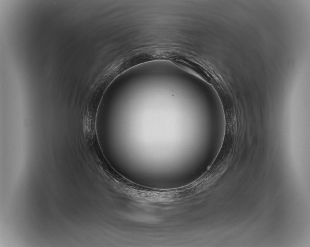 X0000116370044200912021202