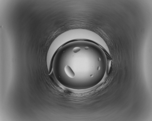 X0000116370045200912021202