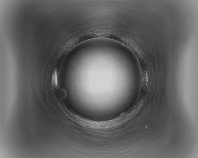X0000116370046200912021202