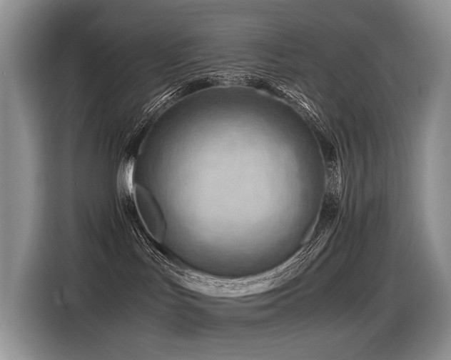 X0000116370047200912021202