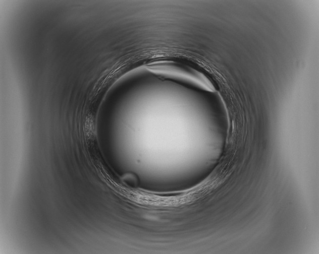 X0000116370048200912021202