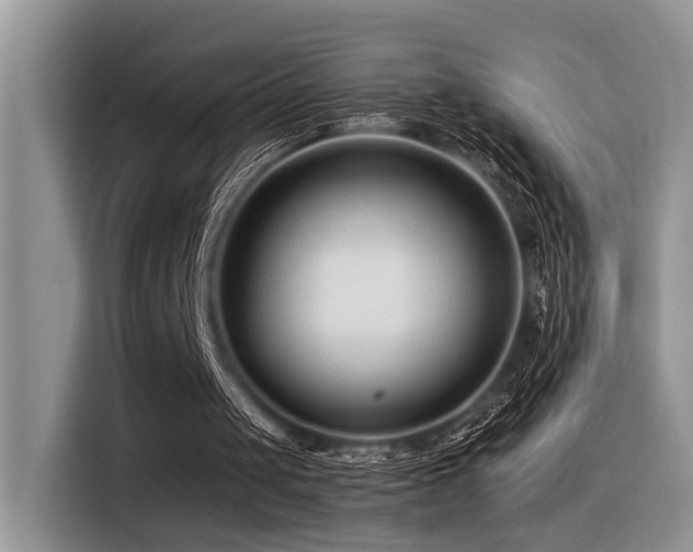 X0000116370049200912021202