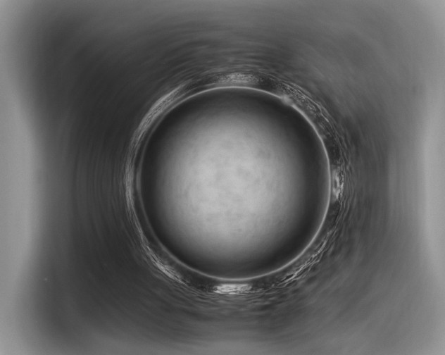 X0000116370051200912021202