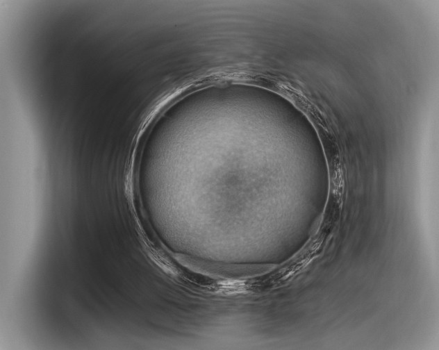 X0000116370052200912021202