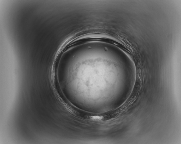 X0000116370053200912021202