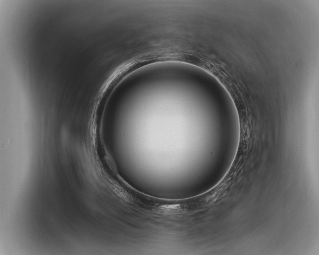 X0000116370054200912021202