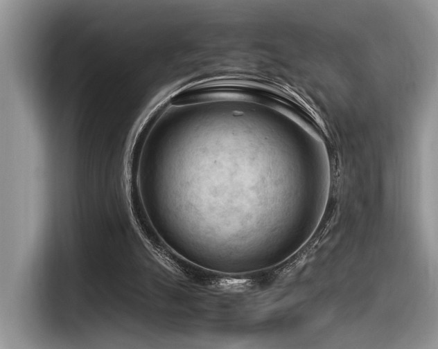 X0000116370055200912021202