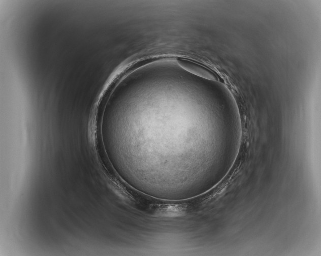 X0000116370056200912021202
