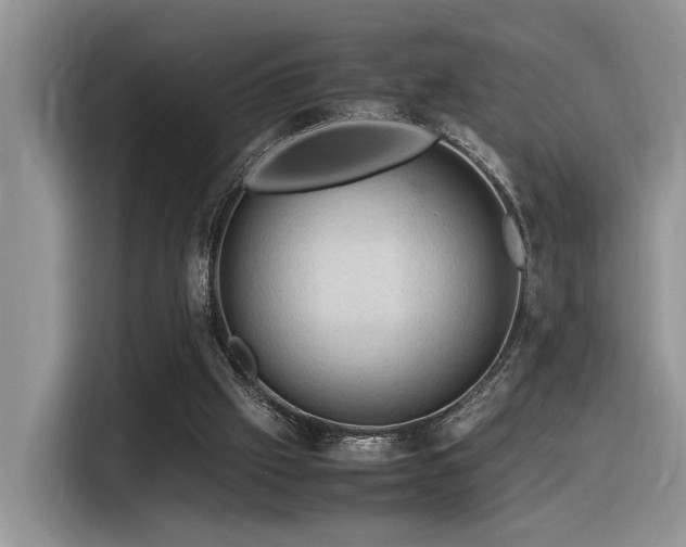 X0000116370057200912021202
