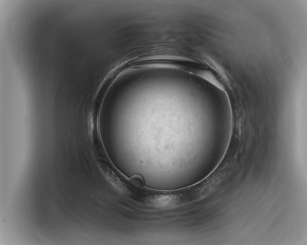 X0000116370059200912021202
