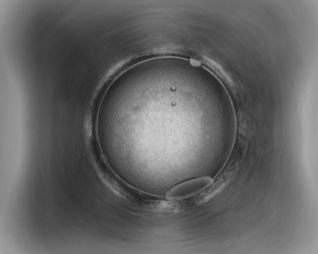 X0000116370060200912021202