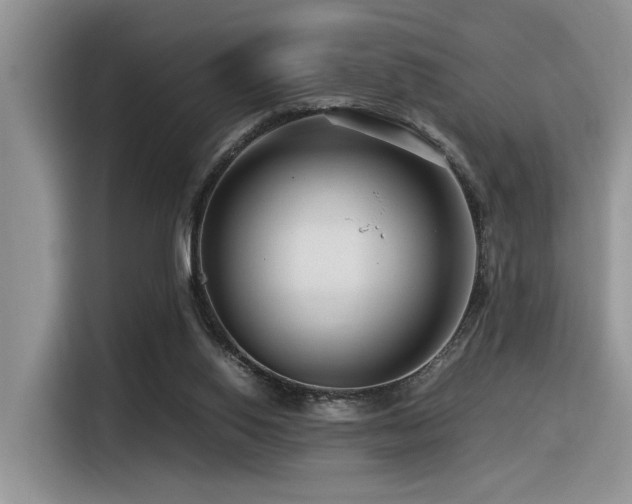 X0000116370062200912021202