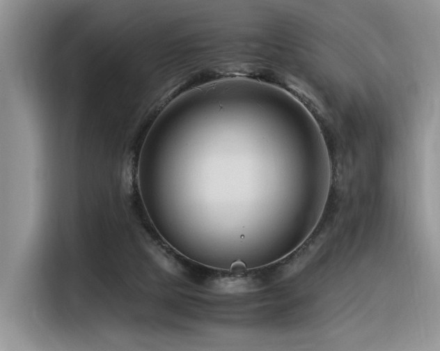 X0000116370065200912021202