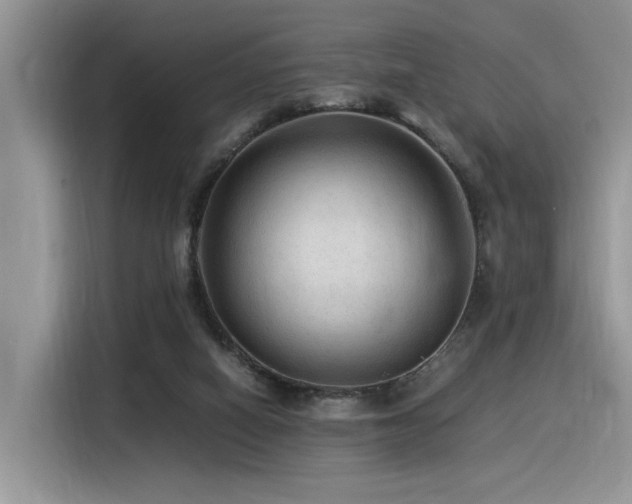 X0000116370066200912021202