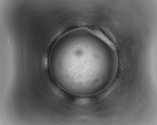 X0000116370067200912021202