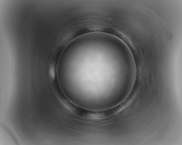 X0000116370069200912021202