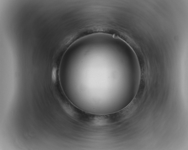 X0000116370070200912021202