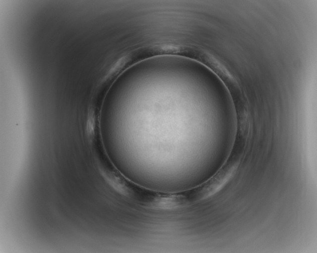 X0000116370072200912021202