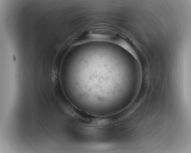 X0000116370073200912021202