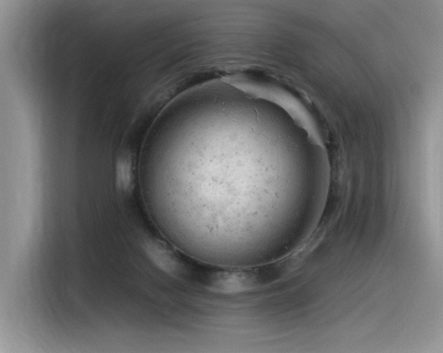X0000116370074200912021202