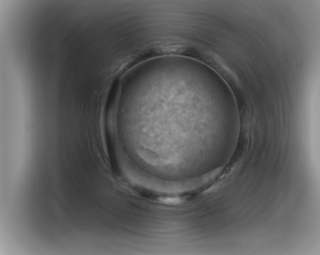 X0000116370076200912021202