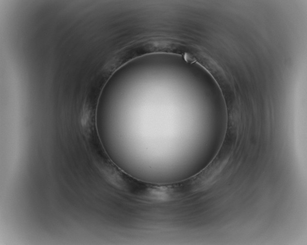 X0000116370079200912021202