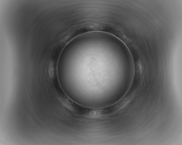 X0000116370080200912021202