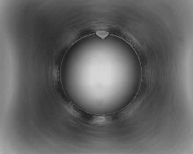 X0000116370083200912021202