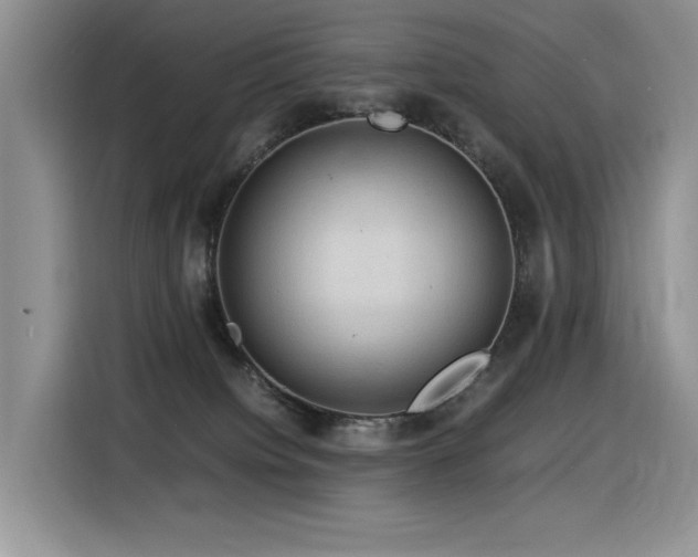 X0000116370084200912021202