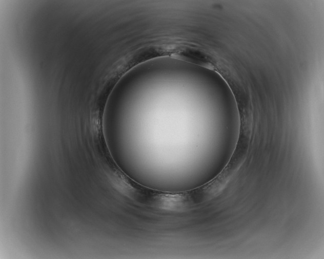 X0000116370085200912021202