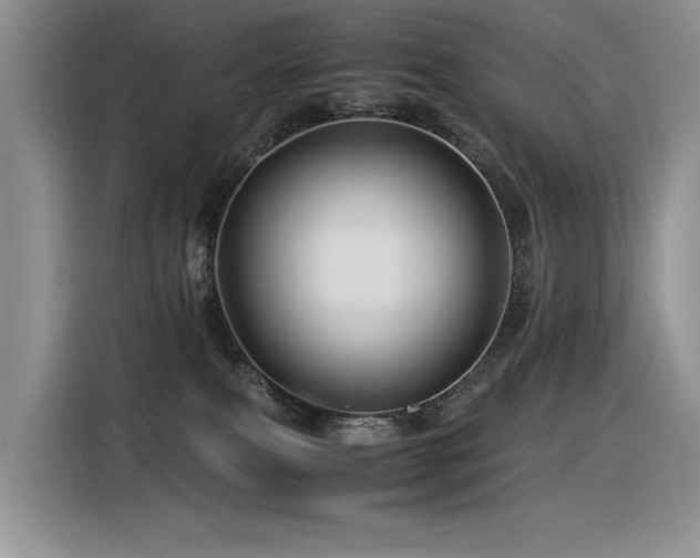 X0000116370087200912021202
