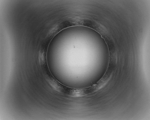 X0000116370088200912021202
