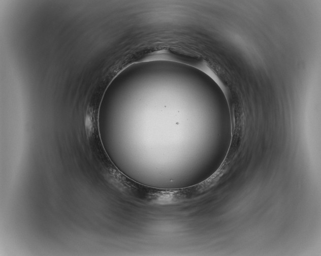 X0000116370090200912021202