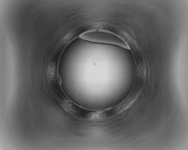 X0000116370092200912021202