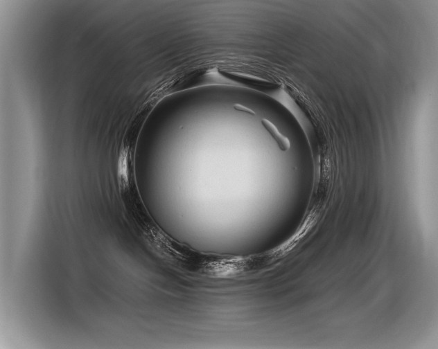X0000116370094200912021202