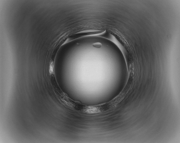 X0000116370095200912021202