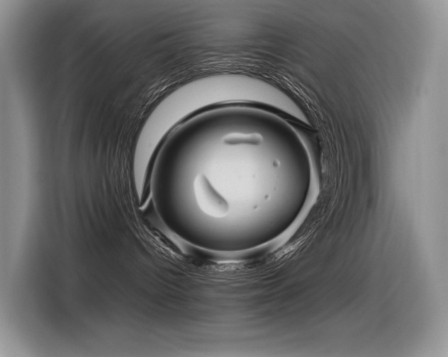 X0000116370096200912021202
