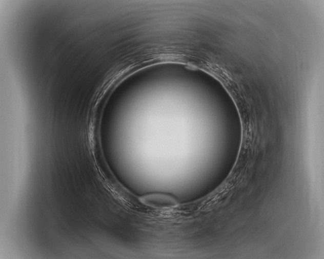 X0000116370098200912021201