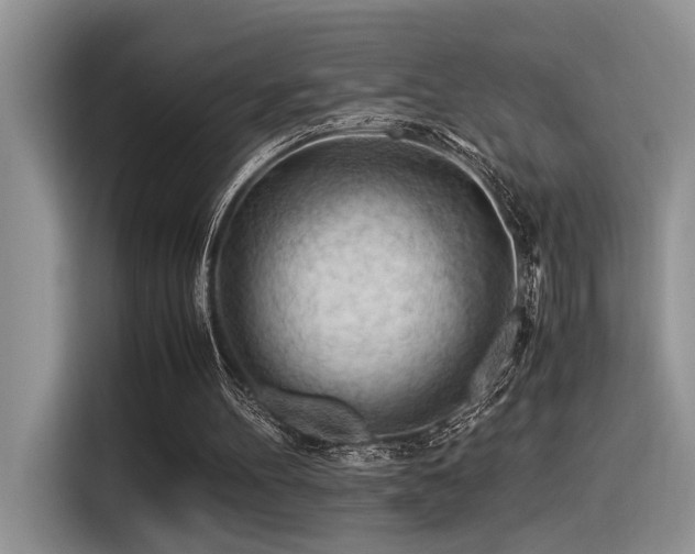 X0000116370100200912021201