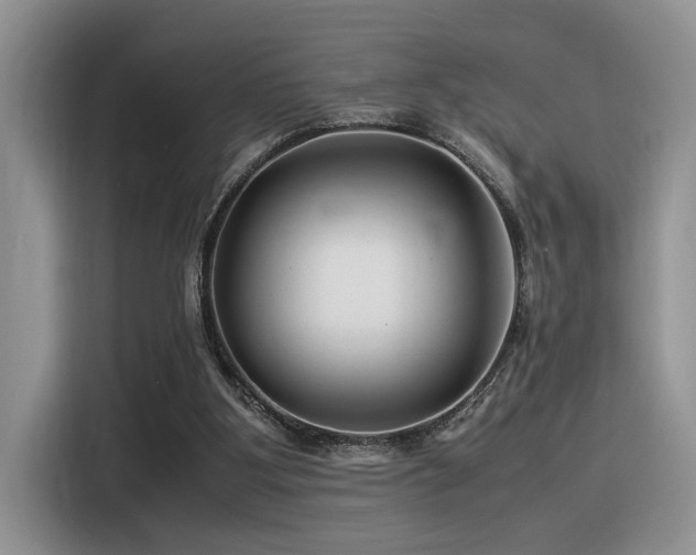 X0000116370107200912021201