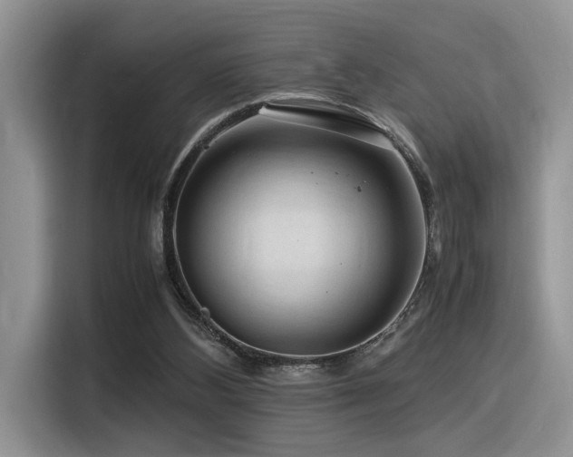 X0000116370108200912021201